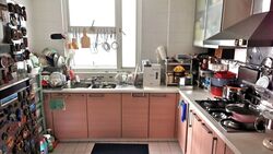 Dahlia Park Condominium (D17), Condominium #524031111